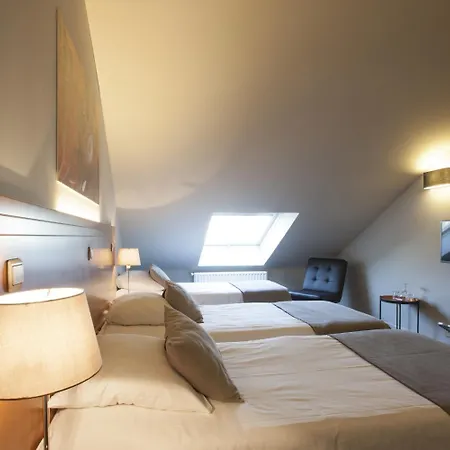 Hotel Theater Centrum 3*