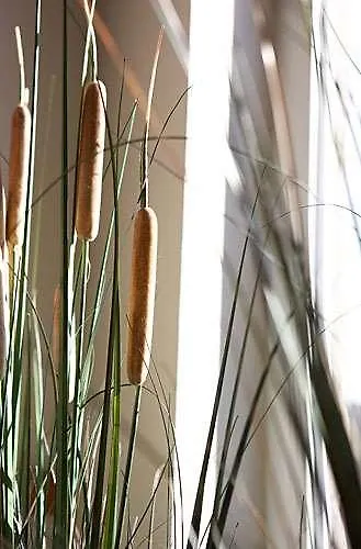 Theater Centrum لوفين