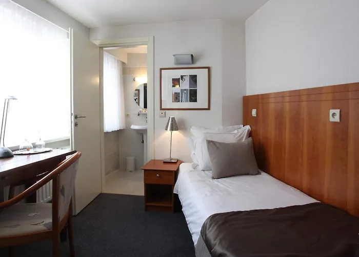 호텔 씨어터 루뱅 센트럼 3*